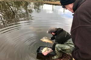 stock ponds new stock